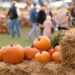 Pumpkins resting on hay bales at a fall festival as people walk by.