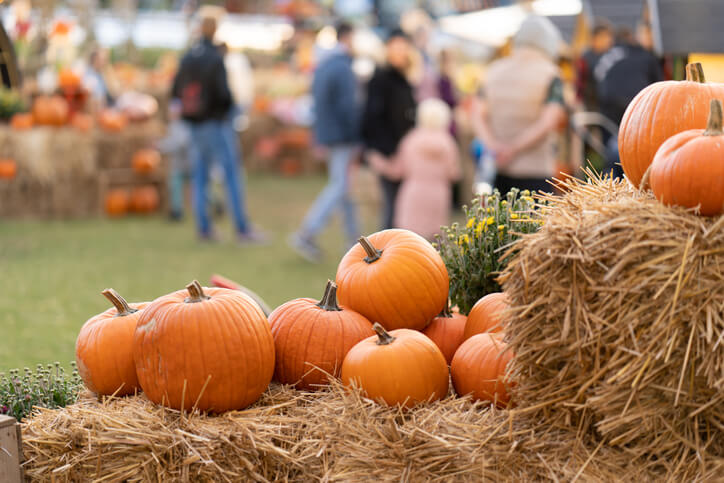 Pumpkins resting on hay bales at a fall festival as people walk by.