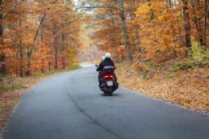 2 people riding a motorcycle on a road surrounded by trees in the fall